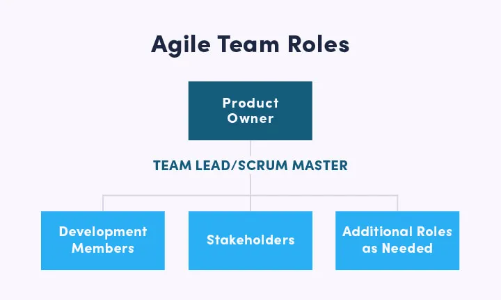 The role of agile software development teams and others agile manifesto