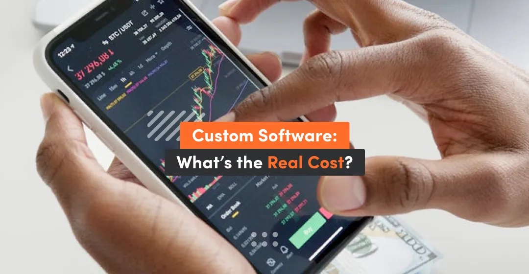 how much should I pay custom software development services