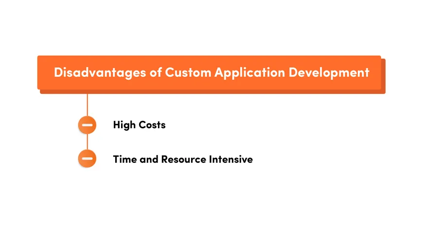 disadvantages of custom code