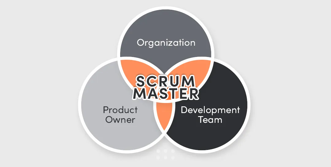 According to the Scrum Guide, Scrum Master focuses serves on three levels. First level is product owner, second level is development team, third level is organization