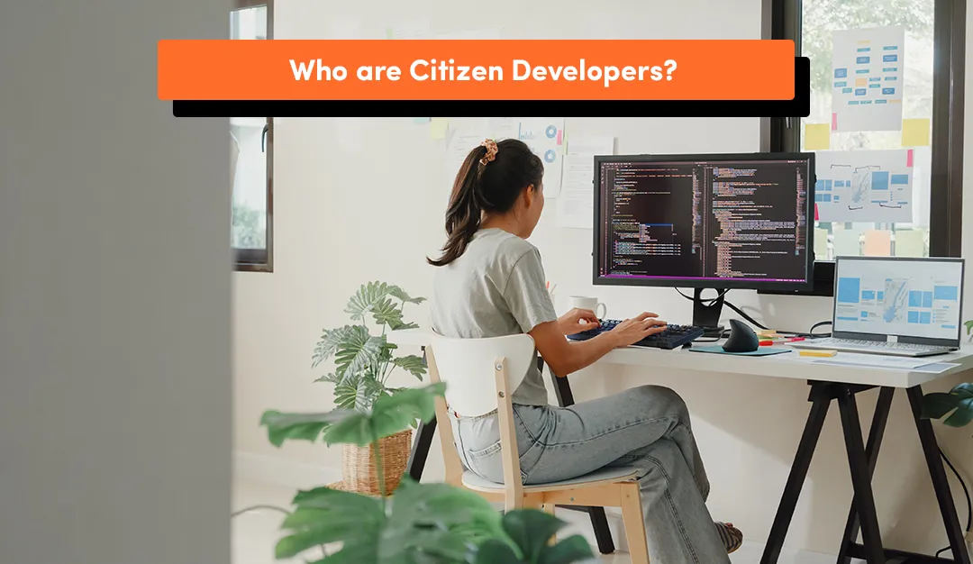 citizen developers fintech