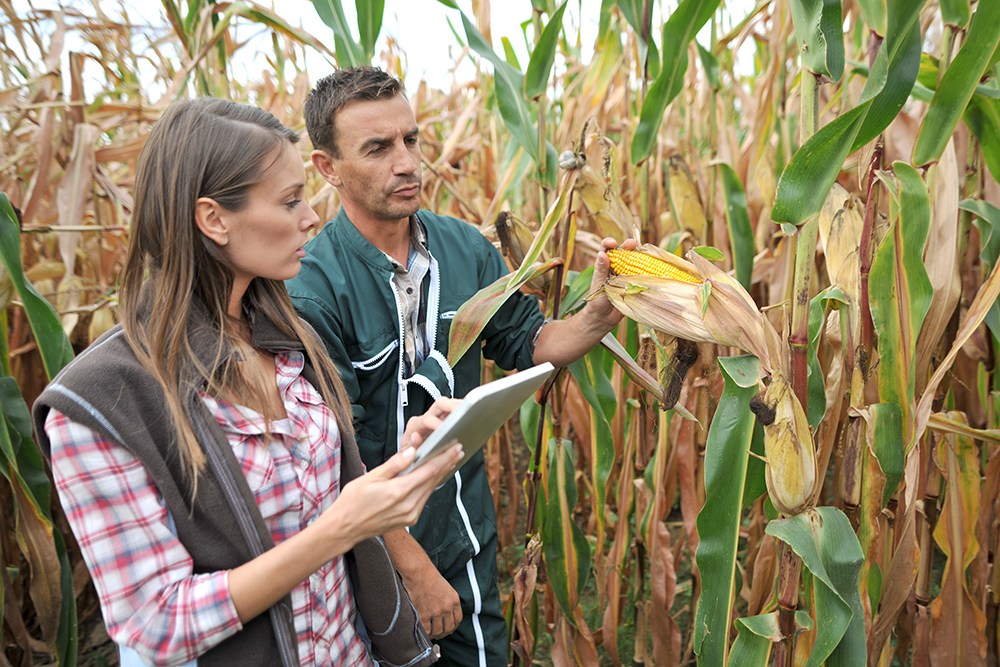 Mobile data collection